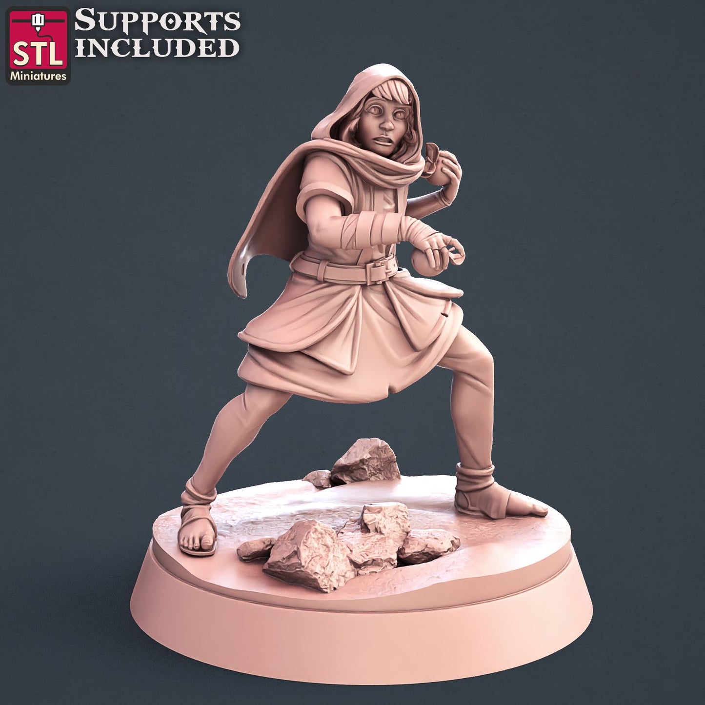 Apprentice Thief Printable 3D Model STLMiniatures