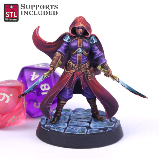 Assassin A Printable 3D Model STLMiniatures