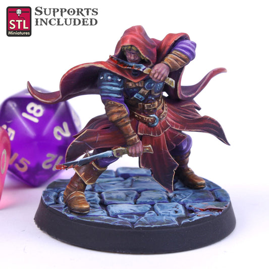 Assassin C Printable 3D Model STLMiniatures