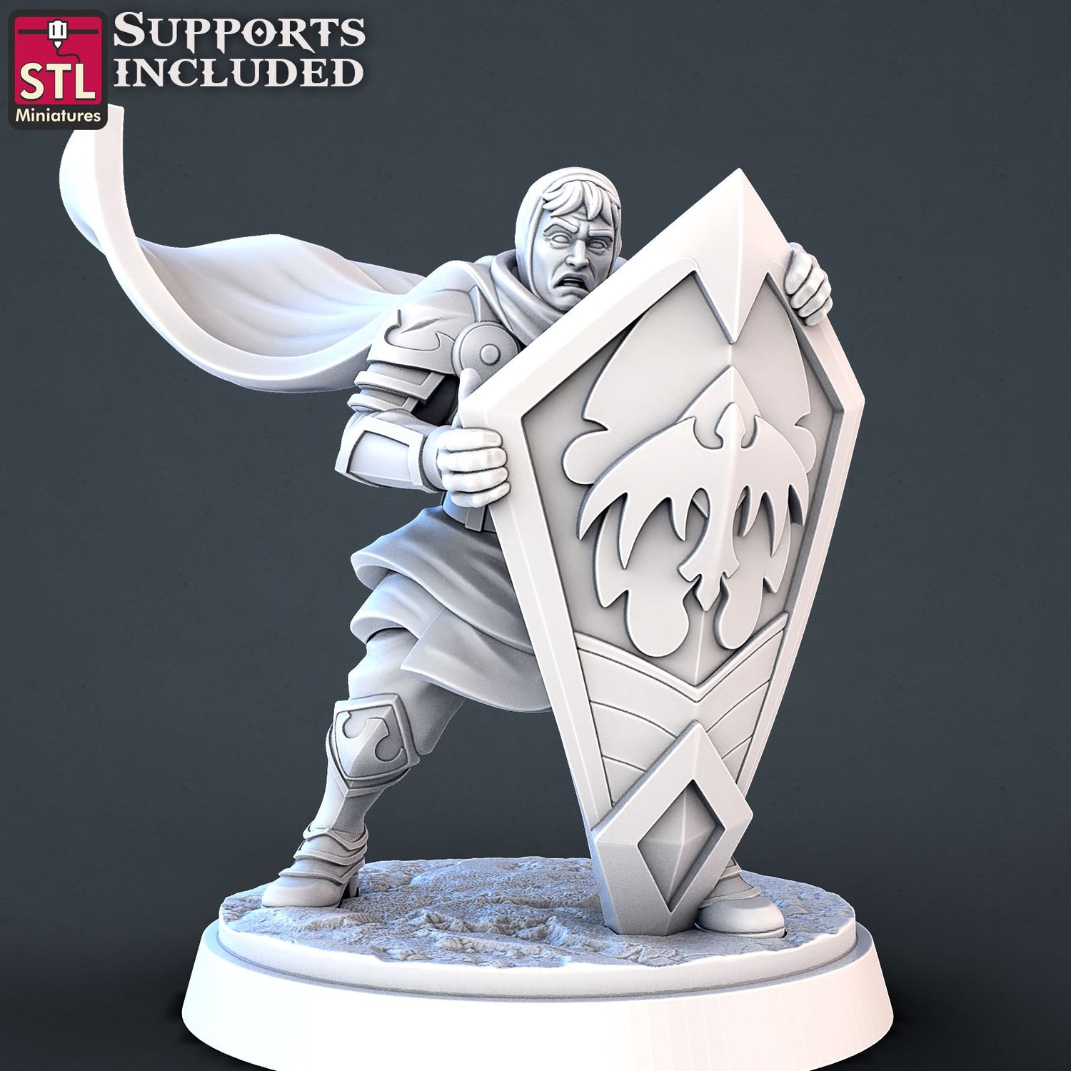 Dungeons and Dragons Tribute Set STLMiniatures