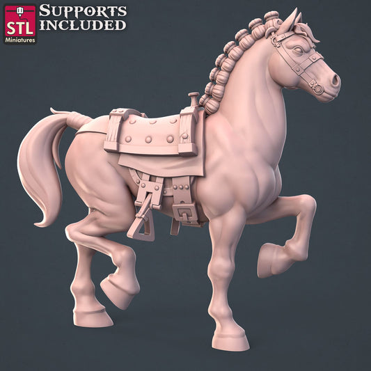 Horse Trainer Horse B Printable 3D Model STLMiniatures