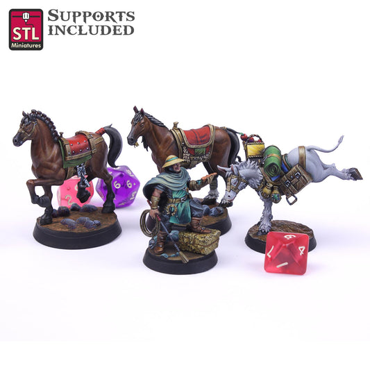 Horse Trainer Set Printable 3D Model STLMiniatures