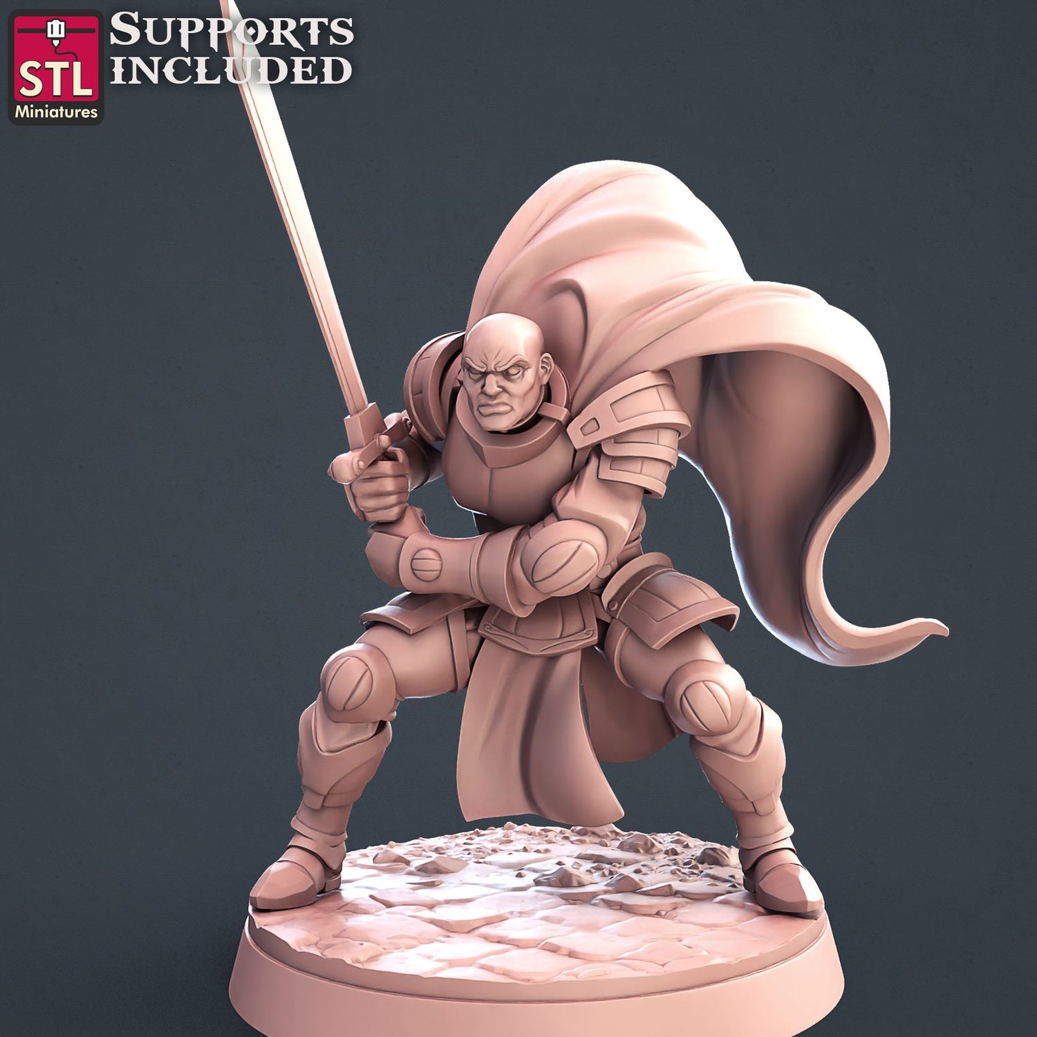 Paladin D Human Male Scale Models STLMiniatures