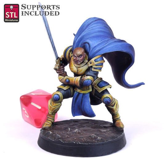Paladin D Human Male Scale Models STLMiniatures