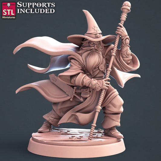 Wizard Printable 3D Model STLMiniatures